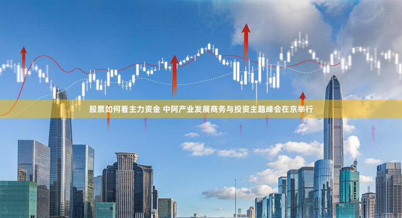 股票如何看主力资金 中阿产业发展商务与投资主题峰会在京举行