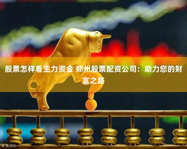 股票怎样看主力资金 郑州股票配资公司：助力您的财富之路