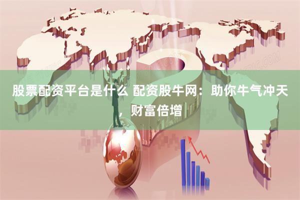 股票配资平台是什么 配资股牛网：助你牛气冲天，财富倍增