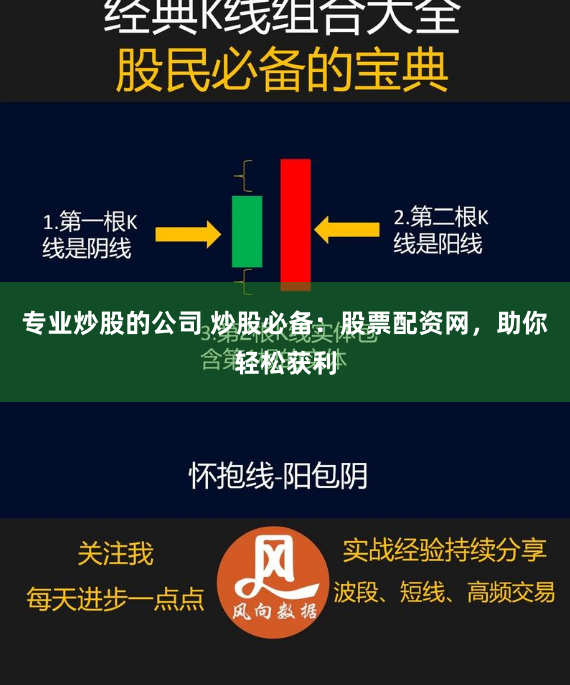 专业炒股的公司 炒股必备：股票配资网，助你轻松获利