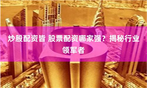 炒股配资皆 股票配资哪家强?揭秘行业领军者