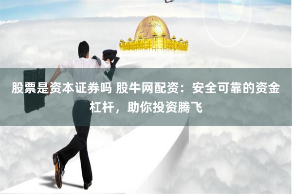 股票是资本证券吗 股牛网配资:安全可靠的资金杠杆,助你投资腾飞